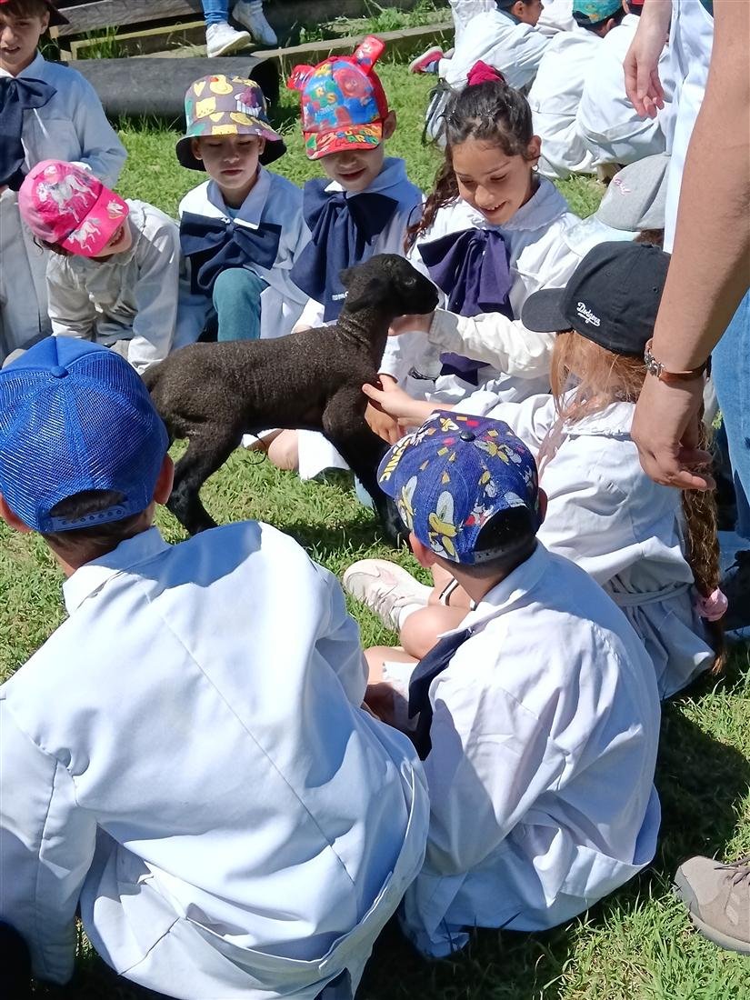 Niños escuchando atentos junto a un cordero negro